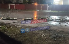 В Ярославле падают деревья, а в Рыбинске автобусные павильоны