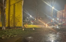В Ярославле падают деревья, а в Рыбинске автобусные павильоны