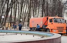 Садоводы из Красноярска сорвали Новый год в ярославском парке