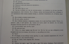 Пресс-секретарь мэра Ярославля Светлана Ефимова Евгению Урлашову о Думе и областном правительстве: «Я говнеца в их сторону добавляю!»