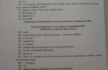 Пресс-секретарь мэра Ярославля Светлана Ефимова Евгению Урлашову о Думе и областном правительстве: «Я говнеца в их сторону добавляю!»