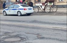 В Ярославле остановили карету с лошадьми за нарушение ПДД