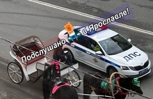 В Ярославле остановили карету с лошадьми за нарушение ПДД