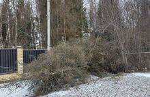 В Ярославской области энергетики устраняют последствия штормового ветра