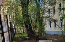 Ярославцы просят вернуть дорогу к двум школам и диспансеру