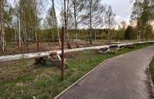 Жители Твериц в Ярославле требуют от застройщика не перекрывать дорогу