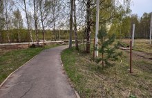 Жители Твериц в Ярославле требуют от застройщика не перекрывать дорогу