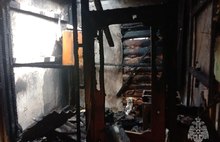 При пожаре в ярославской двухэтажке погибли собака и три кошки
