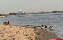 В Ярославле заметили суперяхту