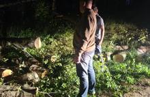 Ярославский райцентр накрыл ураган