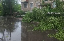 В Ярославле из-за упавших деревьев перекрыты дороги