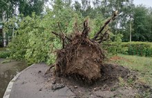 Прокуратура проверит своевременность предупреждения об урагане в Ярославле