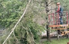 Энергетики продолжают устранять последствия урагана в Ярославской области