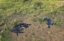 На ярославском пляже обнаружили нефтеносные пески