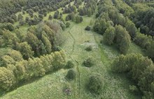 Ярославские власти рассказали, когда разрешат посещать леса