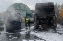 МЧС и хозяин приюта не сошлись в оценке масштабного автопожара в Ярославле 