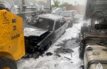 МЧС и хозяин приюта не сошлись в оценке масштабного автопожара в Ярославле 