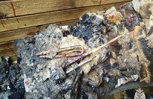 В ярославском гаражном кооперативе горела баня