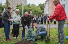 В память о погибшем на СВО бойце в Рыбинске посадили голубую ель