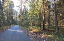 Депутаты Ярославской облдумы помогли решить вопрос с ремонтом частной дороги