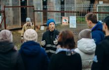 В Ярославле прошла акция помощи животным «Дарим тепло вместе»