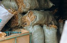 В Ярославле прошла акция помощи животным «Дарим тепло вместе»