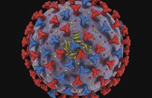 В Ярославской области ожидается гонконгский грипп