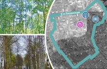 Главный архитектор Ярославля ищет плотность застройки Ляпинки