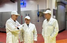 На пречистенском сырзаводе запущено производство моцареллы