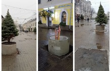 На главной улице Ярославля елки посадили в бетонные кольца