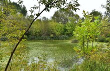 Суд обязал ярославское министерство разработать положения по 40 ООПТ