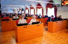 Депутаты Яроблдумы поддержали новые меры соцподдержки беременных