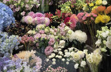 Россельхознадзор рассказал, как выбрать цветы без вредителей и уродств