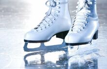 Роспотребнадзор поддержит коллективный иск ярославцев по отмене ледового шоу