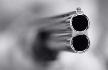 В Рыбинском районе ловят волчицу