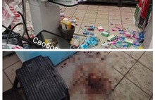 В Ярославле стало больше преступлений в общественных местах