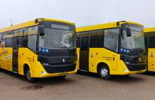 Ярославский УФАС нашел нарушения по 27 конкурсам на автобусные маршруты