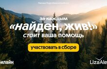 В 2025 году отряд «ЛизаАлерт» при поддержке Билайн спас более 300 ярославцев