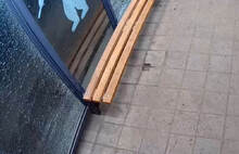 Ярославская полиция нашла вандалов, повредивших зеленый рояль