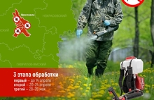 В Ярославле началась обработка территорий от клещей