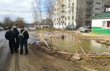 Тутаевский бобёр в котловане стал звездой соцсетей