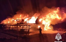 В Ярославской области при пожаре на ферме погибли два человека