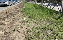 Ярославцы понадеялись на расширение проспекта Авиаторов