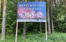 В Ярославле разъяснили, отменят ли дожди пожароопасный режим