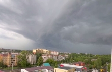 Сильный ветер продолжает ломать деревья в Ярославской области