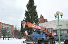 В Ярославле установили главную ель. Фоторепортаж