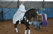 В Ярославле состоялся благотворительный Рождественский конный спектакль. Фоторепортаж