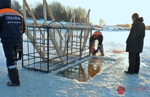 В Ярославской области в Крещение по данным МЧС в прорубь окунулось около девяти тысяч человек. С фото