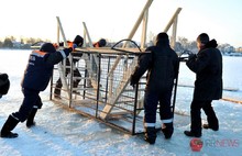 В Ярославской области в Крещение по данным МЧС в прорубь окунулось около девяти тысяч человек. С фото