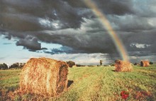 В Ярославле открылась выставка фотохудожника Николая Козичева. С фото